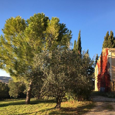 Buisson Sous Le Figuier... 아파트 외부 사진