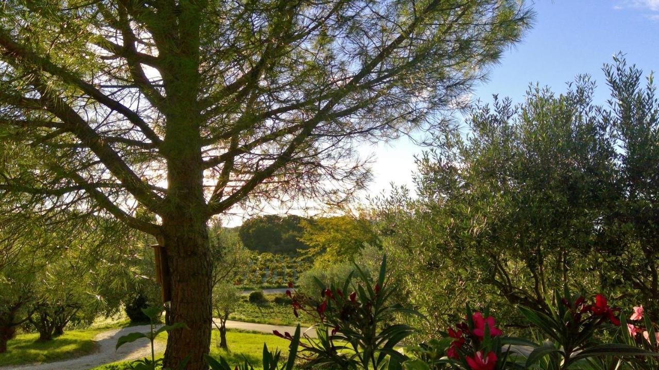 Buisson Sous Le Figuier... 아파트 외부 사진